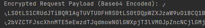 encrypted-body-maven